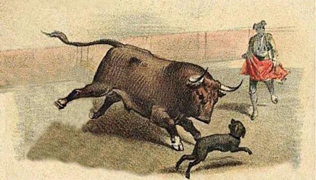 Dibujo del perro Paco en los toros