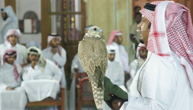 Subasta en el zoco de los halcones