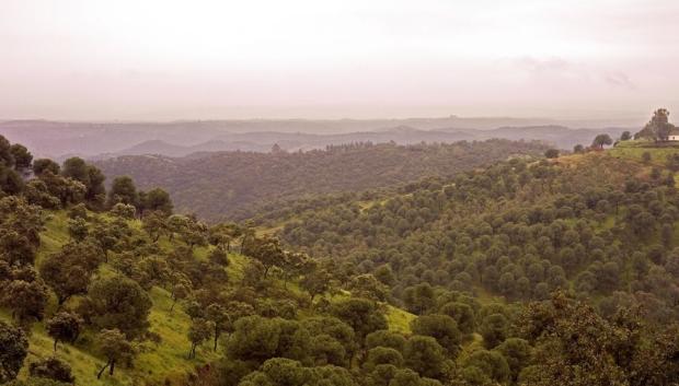 Sierra de Cardeña y Montoro