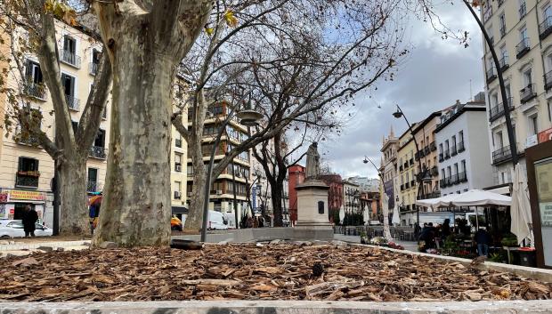 Vista de la estatua de Tirso de Molina con una botella tirada en el suelo