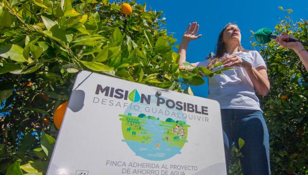 El proyecto ‘Misión Posible: Desafío Guadalquivir’ fomenta el riego eficiente, la agricultura sostenible y la recuperación de marismas a las puertas de Doñana
