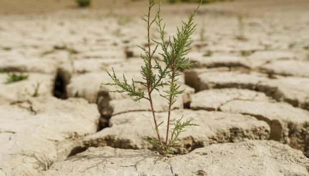 Vista del pantano de la Viñuela en Vélez-Málaga, que cuenta con reservas de agua a menos del 10% como consecuencia de la escasez de precipitaciones en los últimos meses