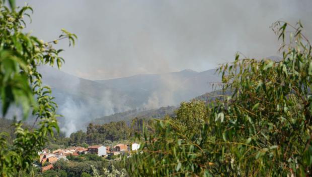 Columna de humo del incendio forestal declarado esta pasada noche en el término municipal de Pinofranqueado