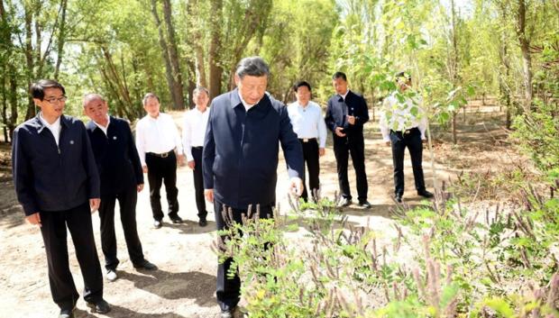 Xi Jinping durante una visita al área forestal cerca de Mongolia