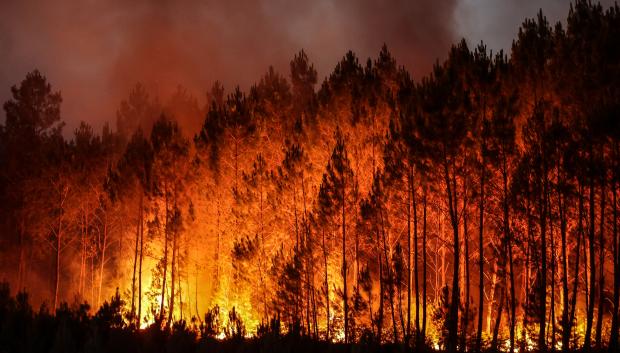 Incendio forestal en Louchats, suroeste de Francia