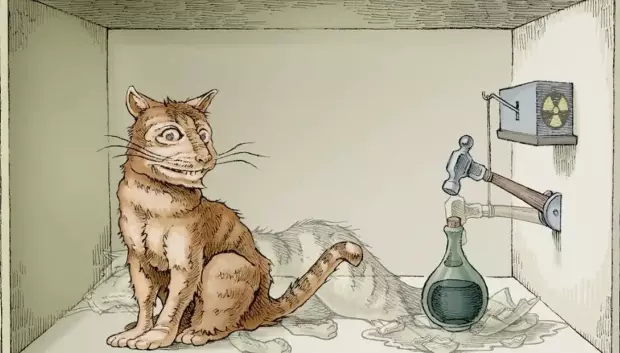 Explicación del gato de Schrödinger