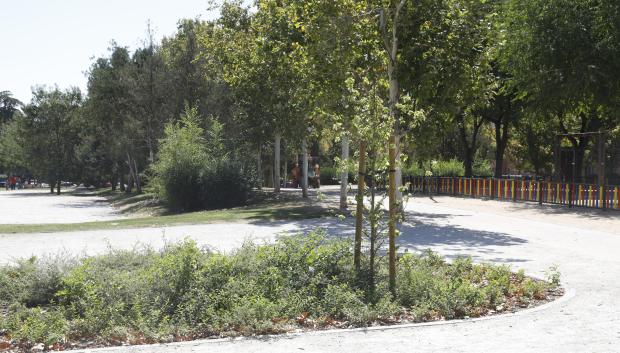 Vista del parque de Las Cruces