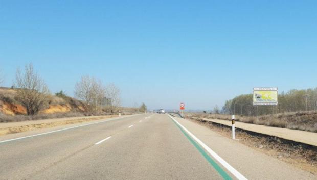 Imagen de las líneas verdes a los lados de la carretera