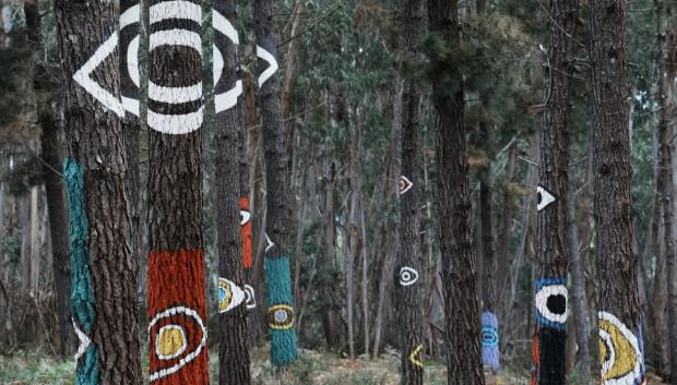 Dibujos pintados en árboles el día de reapertura del Bosque de Oma, a 27 de octubre de 2023