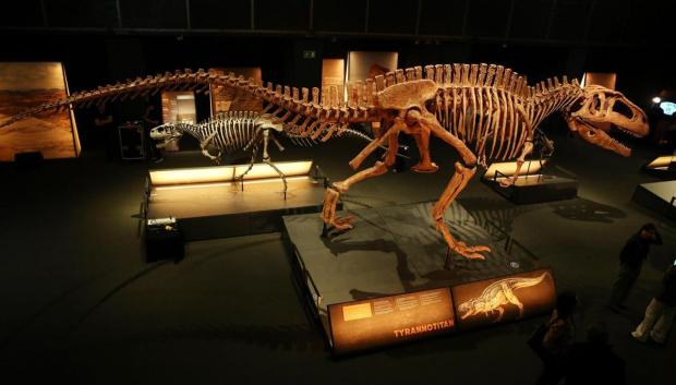'Dinosaurios en la Patagonia', en Cosmocaixa Barcelona