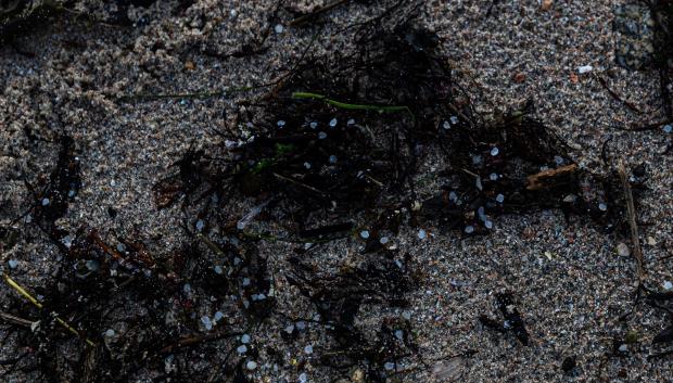 Recogida de pellets de la arena en la Isla de Arosa