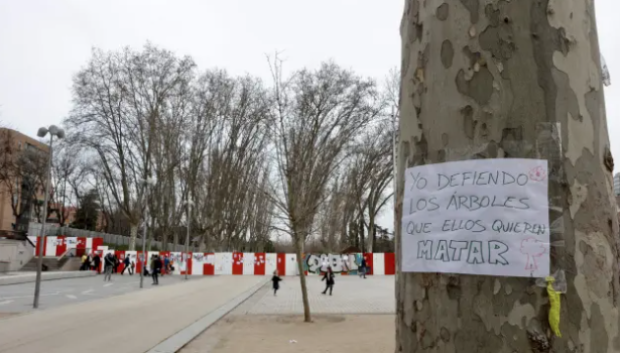 La izquierda está utilizando la tala de árboles en Madrid para atacar a su Gobierno