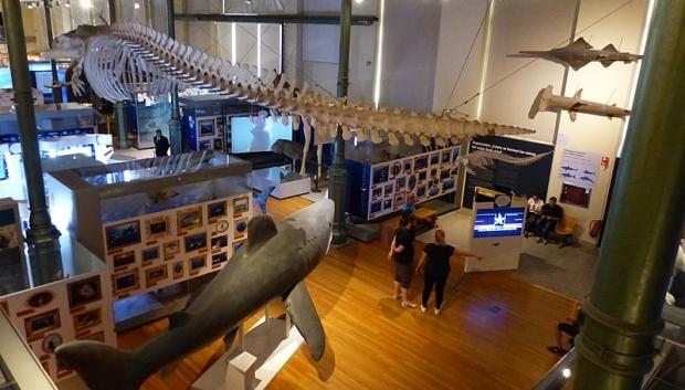 Interior del Museo Nacional de Ciencias Naturales de Madrid