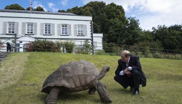 El Príncipe Eduardo con la tortuga