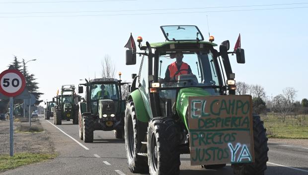 Varios tractores circulan cerca de la localidad de Veguellina, en León