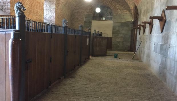 Cuadras del Palacio Real de Madrid, donde viven los caballos que se utilizan en las ceremonias