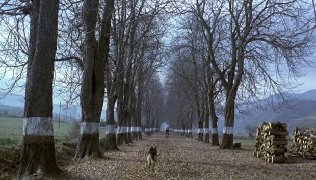 La película cuenta con una de las elipsis más elegantes y hermosas de la historia del cine
