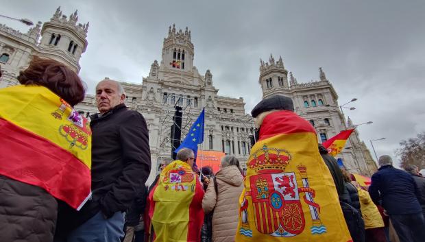 Banderas en la manifestación de Cibeles