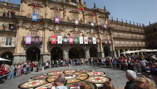 Vista de una alfombra floreada frente a la fachada del Ayuntamiento en la Plaza Mayor de Salamanca durante el Domingo de Ramos. La alfombra es la sorpresa que ha regalado la Asociación de Alfombristas de Ponteareas a la ciudad de Salamanca para los primeros días de la Pasión.