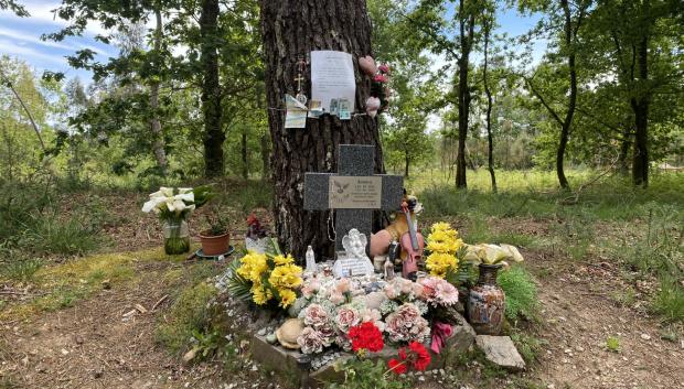 Punto de la pista forestal de Teo donde encontraron el cuerpo de Asunta