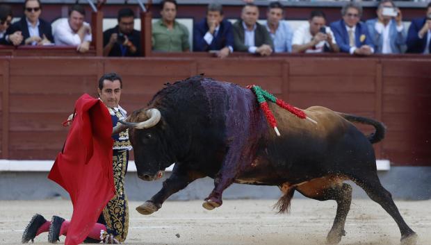 El Fandi, de rodillas ante su primer toro