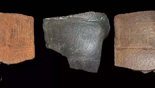 Fragmentos de caparazón encontrados en Alemania