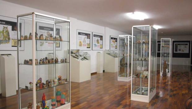 Sala de exposición del museo de los búhos de Cerceda