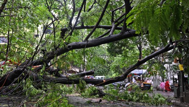 Los viajeros pasan junto a árboles arrancados de raíz después de las fuertes lluvias en Calcuta