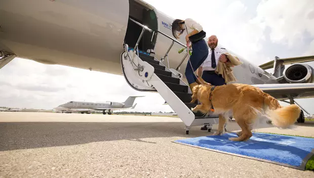 Una dueña embarca con su mascota