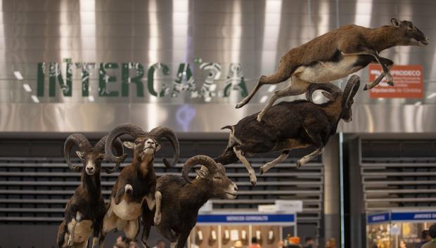 Intercaza 2024