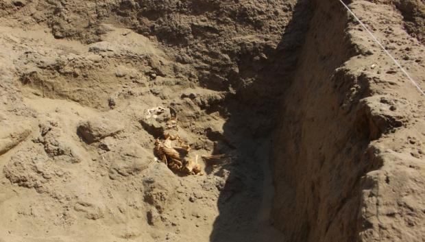 Fotografía sin fecha cedida por el Ministerio de Cultura del Perú de restos humanos en un complejo arqueológico