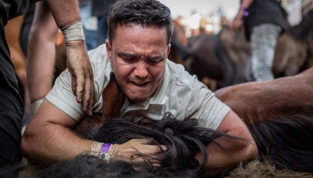 Un 'aloitador' sujeta un caballo

Fotos: Agostime