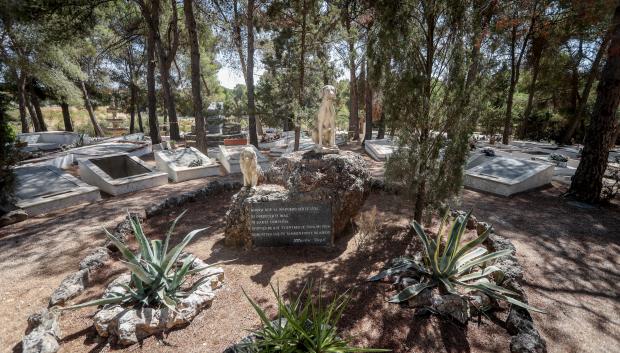 ‘El último parque' el único cementerio de animales de Madrid