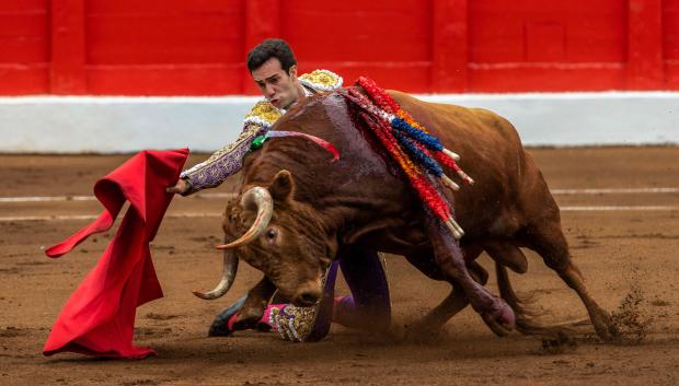 Tomás Rufo, de rodillas en la arena de la Plaza de Toros de Cuatro Caminos