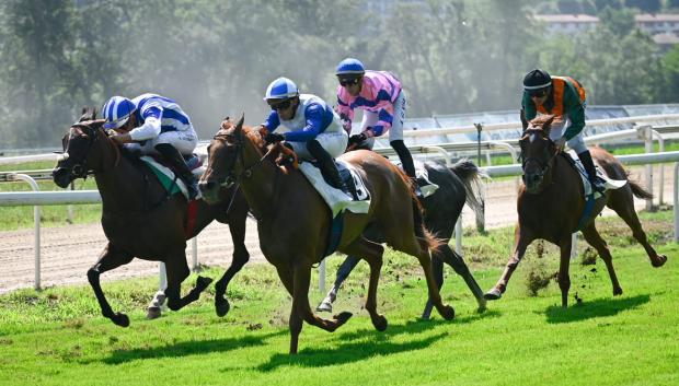 'Swiftway' con Guillaume Guedj - 5ª Carrera 'Gran Premio Hotel María Cristina'