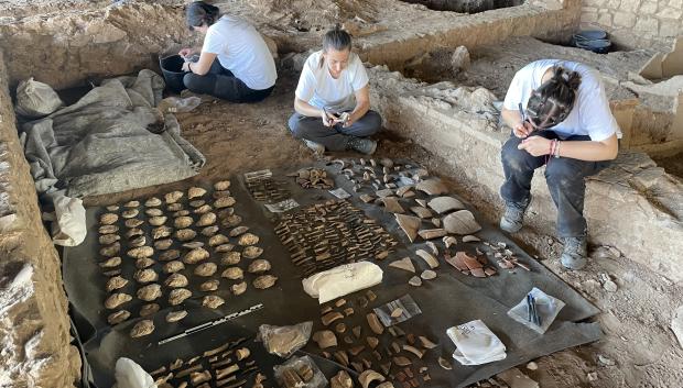 Trabajos junto al Anfiteatro de Mérida descubren una gran acumulación de ostras