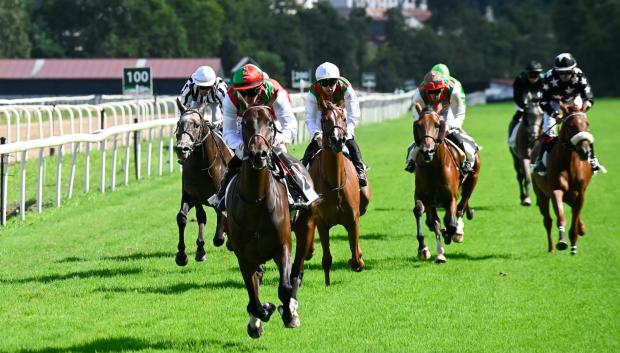 'Algheed' con Mickael Forrest - 1ª Carrera "Premio Wathba Stallions Cup'