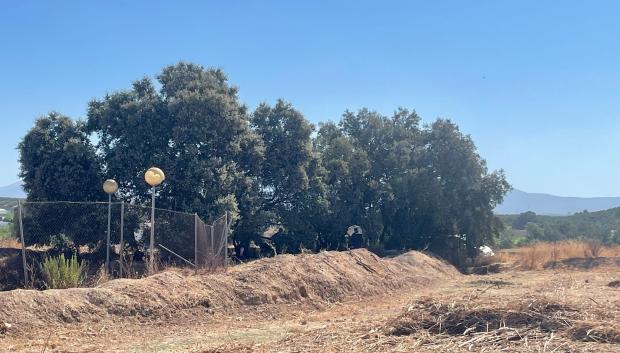 Imagen del lugar donde se cree que está enterrada Ángeles Zurera