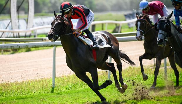 'Misstifly' con Ricardo Sousa - 4ª Carrera 'Premio Hipódromo de la Teste de Buch'