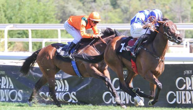 'Clori' con Ricardo Sousa - 5ª Carrera 'Gran Premio Ricardo Ruiz Benítez de Lugo'