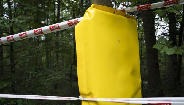 Lugar del accidente en el descenso a Kuesnacht, donde la ciclista suiza Muriel Furrer se estrelló