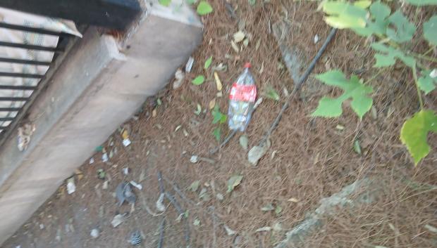 Basura en el cementerio de La Florida