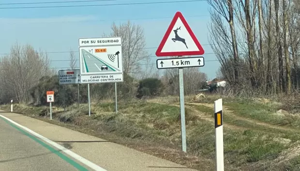 Líneas verdes junto al arcén, así la carretera parece más estrecha