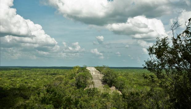 La gran acrópolis cobijada de inmenso color verde de la selva reserva de la biosfera Calakmul, Campeche