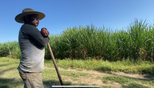 Fotograma de Agroquímicos, la vida en peligro