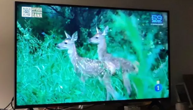 La Revuelta emitió durante 25 minutos un documental sobre la berrea del ciervo