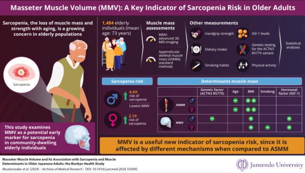 La reducción de MMV indica un mayor riesgo de sarcopenia en adultos mayores, influenciado por varios factores