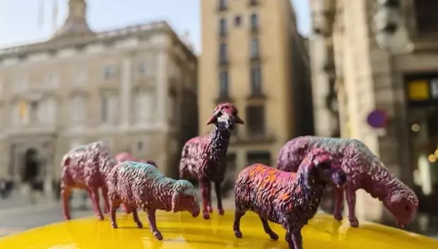 En la plaza de Sant Jaume, las ovejas se han encontrado con una estrella gigante.