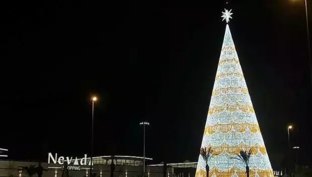 Árbol más grande Andalucía