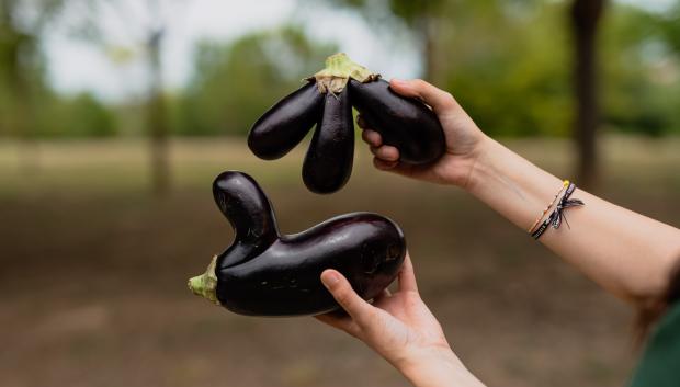 Una berenjena "imperfecta" por fuera, como las que venden en TALKUAL foods